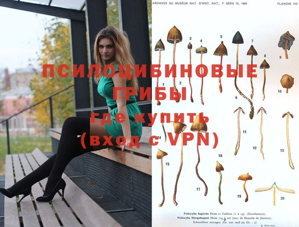 амф Осташков