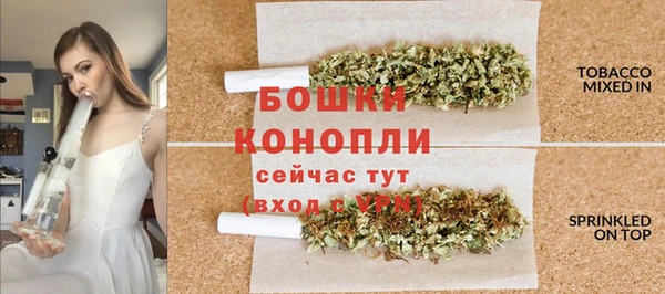 дурь Осинники