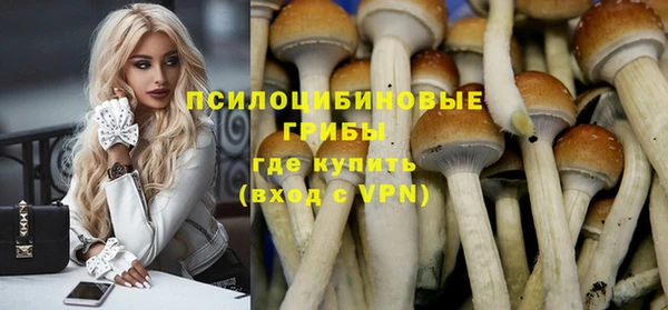 гашик Коряжма