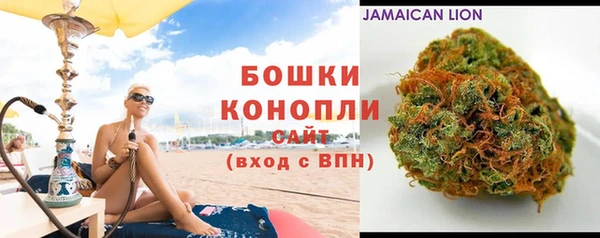 дмт Корсаков