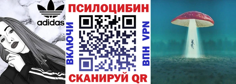 Галлюциногенные грибы прущие грибы  где купить наркоту  дарк нет клад  Бердск 